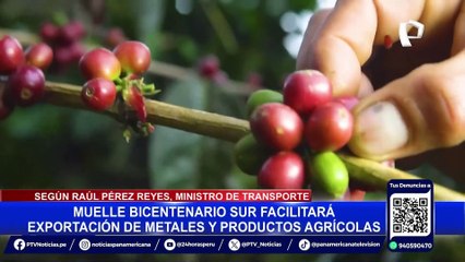 Inauguran Muelle Bicentenario: nuevo puerto facilitará exportación de productos nacionales