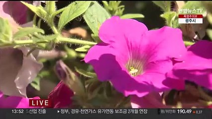 [날씨] '하지'인 오늘도 폭염특보…주말 남부 장마 시작