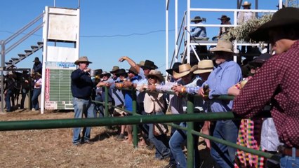 Century old amateur horse race gets underway in the Northern Territory’s Barkly region