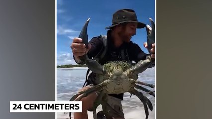 What a Fisherman Caught on His Camera Shocked the Whole World