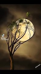 Best lines from mery pas Tum ho,rahat Fateh Ali khan