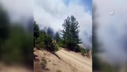 Adana'da çıkan orman yangını kontrol altına alındı