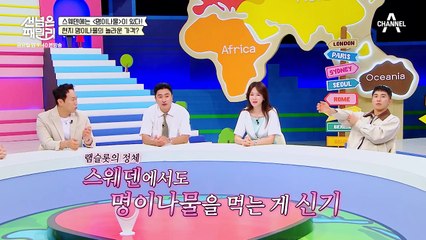 [선공개] 스웨덴에 명이나물이 있다? 산삼만큼 귀한 명이나물 원정대 결성!