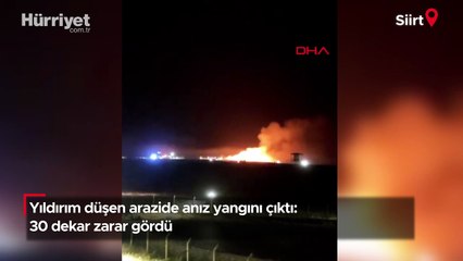 Siirt'te yıldırım düşen arazide anız yangını: 30 dekar zarar gördü