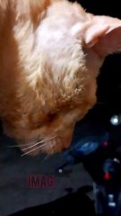 Karan Arjun movie scene imagination