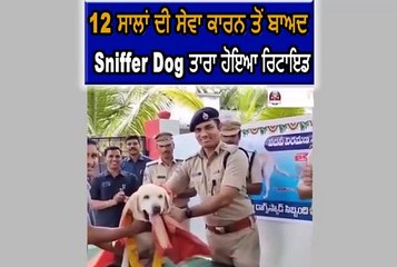 12 ਸਾਲਾਂ ਦੀ ਸੇਵਾ ਕਾਰਨ ਤੋਂ ਬਾਅਦ Sniffer Dog ਤਾਰਾ ਹੋਇਆ ਰਿਟਾਇਡ..........