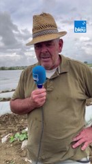 Ce producteur de melons du Haut-Poitou redoute l’arrivée du RN au pouvoir