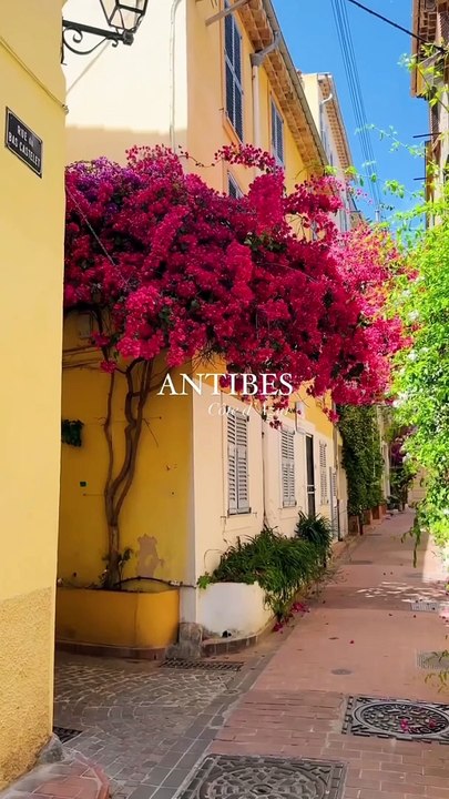 Clairement un des meilleurs spots de la Côte d’Azur ✨  @julianontheroute  Abonne-toi au Petit Mauda !   #petitmauda #adresse #guide #spot #pepite #antibes #cotedazur #cotedazurfrance #frenchriviera #france #francia #francetourisme #frança #southoffr
