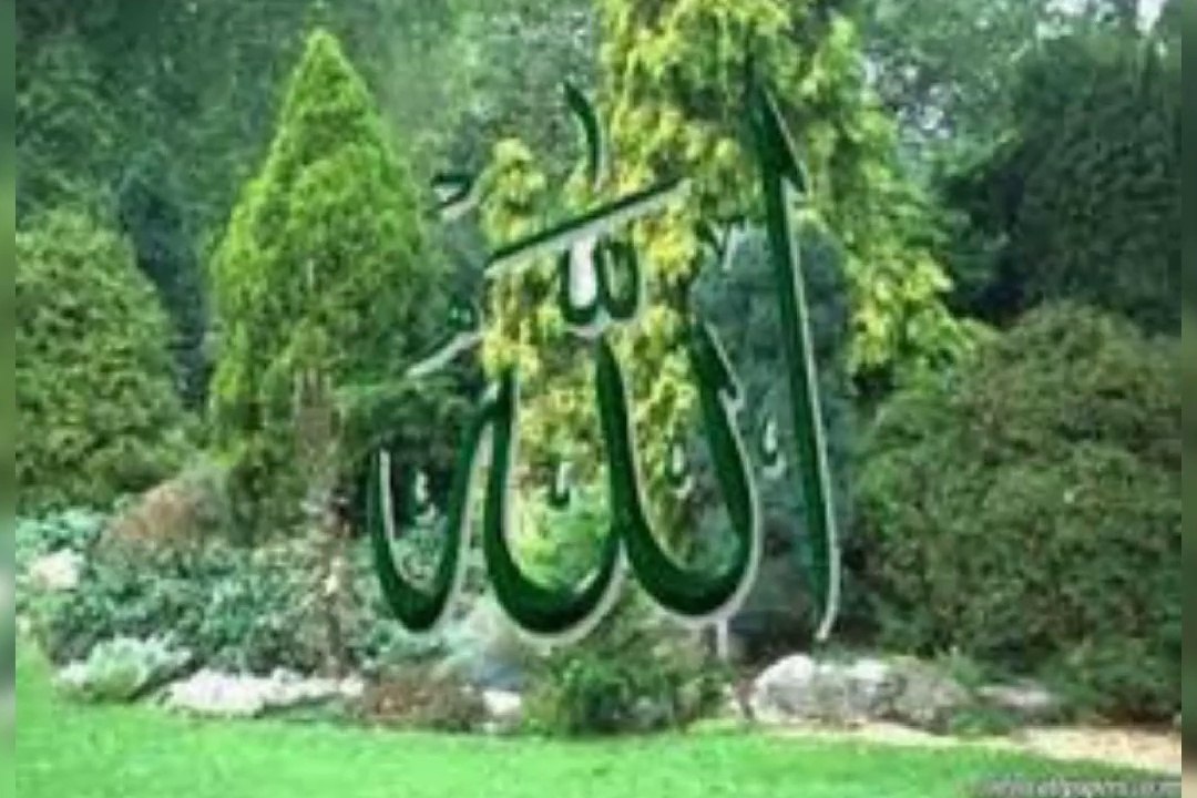 Allah creation