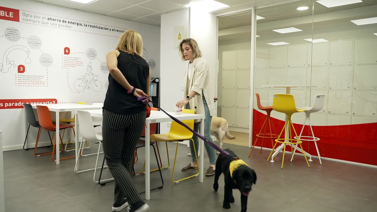 Llevar a los perros a la oficina ayuda a los empleados a reducir estrés y aumentar su bienestar