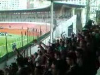 JSMB MCO