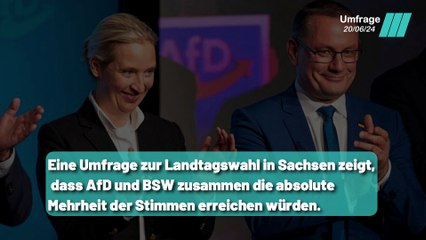 Download Video: Ampel Parteien in Gefahr: SPD und Grüne nur bei 5% in Sachsen