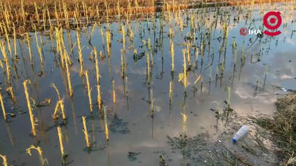 Kırklareli'ndeki dolu felaketinin hasar tespiti tamamlandı: 150 dekar tarım alanı zarar gördü
