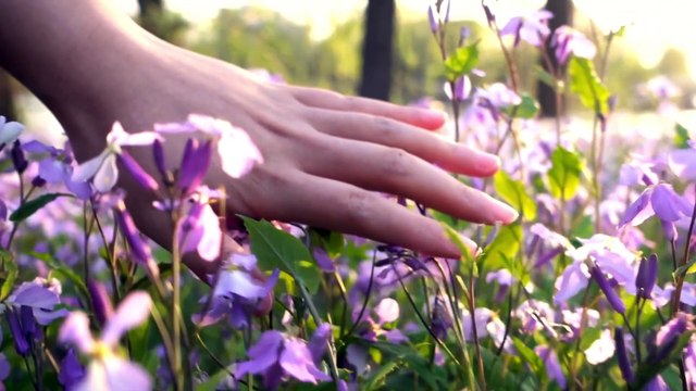 The Golden touch | Poetic version of famous Moral Story The Golden touch