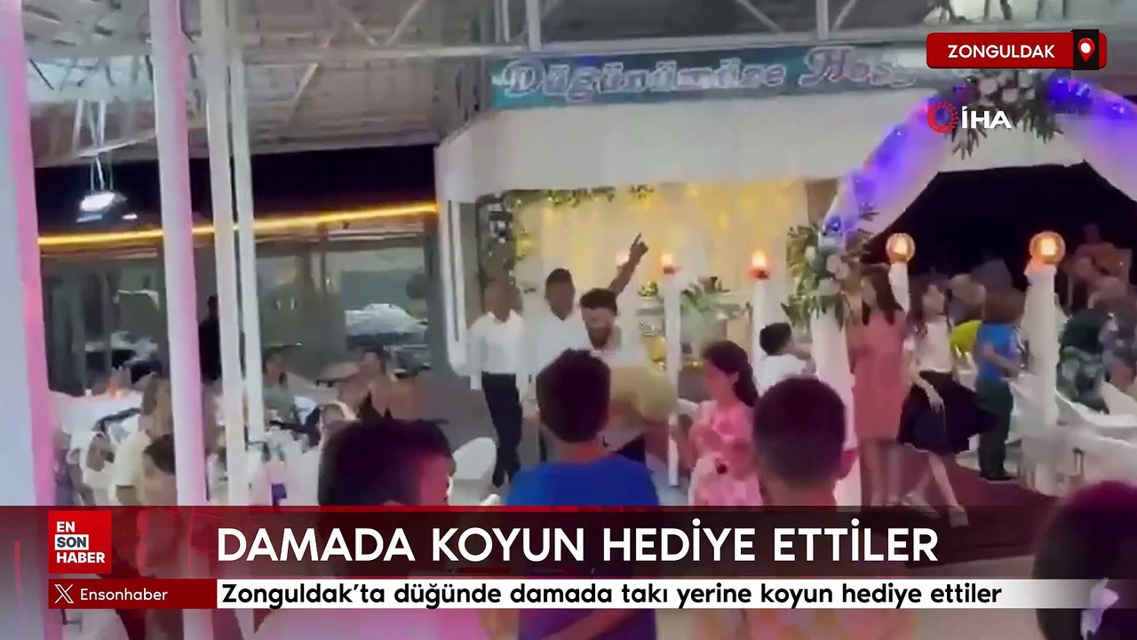 Zonguldak'ta düğünde damada takı yerine koyun hediye ettiler