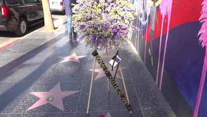 Wreath laid in honour of Donald Sutherland on Hollywood Walk of Fame after actor’s death