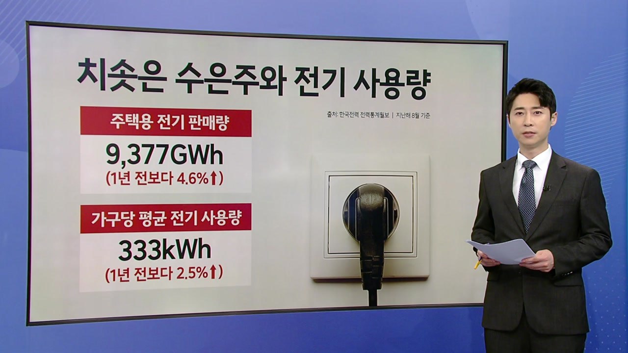 폭염 속 전기요금 또 '동결'..."물가 부담 고려" [앵커리포트] / YTN