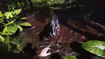 FEROCIOUS - Nuevo FPS en Acción 🎮