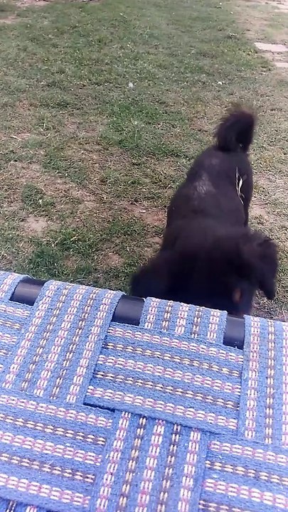 VID_20220323_174557