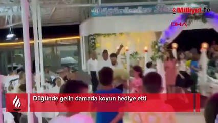 Düğünde gelin damada koyun hediye etti
