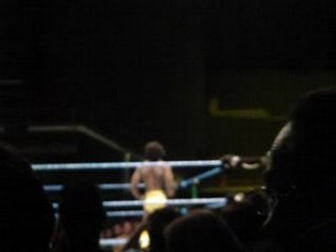 WWE SmackDown Wrestlemania Revenge Tour a geneve