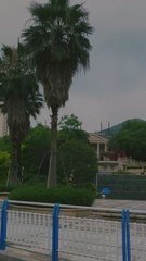 Dazzling Evening View