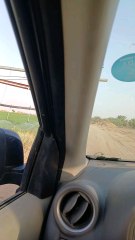 Proper Grass Watering Tips 💧