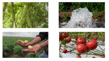 Invest in Profitable Farmland Near Bangalore: Prime Managed Plots for Sale