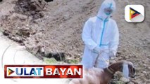 Unang kaso ng Q-fever disease sa Pilipinas, naitala; human case ng sakit, wala pang naitala