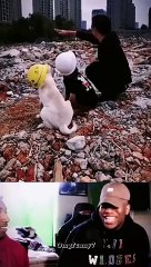 Hilarious Funny Clip You Can't Miss 😂