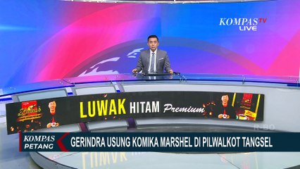 Ini Alasan Gerindra Usung Marshel Widianto Maju Pilkada Tangsel