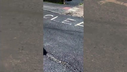 Shoreham road potholes