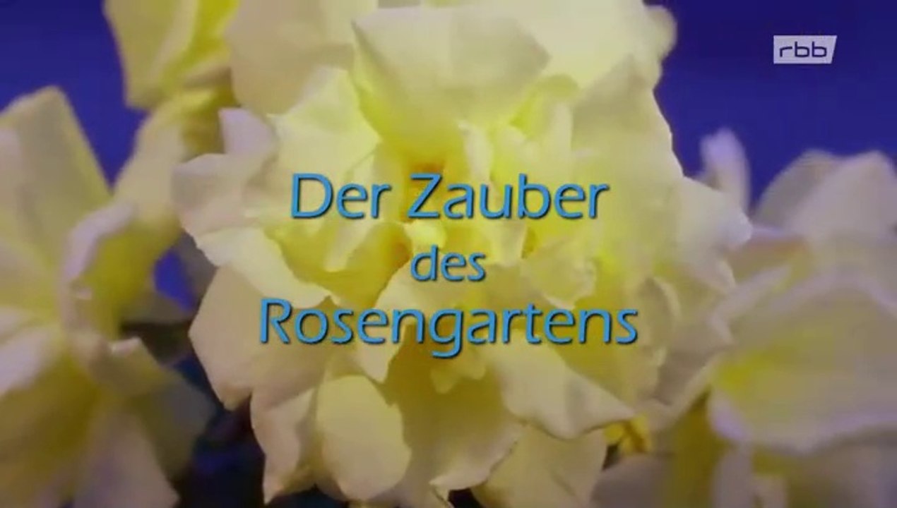 Der Zauber des Rosengartens