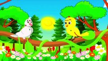 Birds Chidiya Wala Cartoon| Tuni Acchi Cartoon | Hindi Kahani