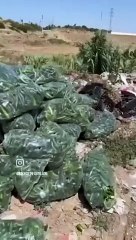 Hükümete kumpas kuruluyor! Savcı Sayan böyle söyleyerek paylaştı