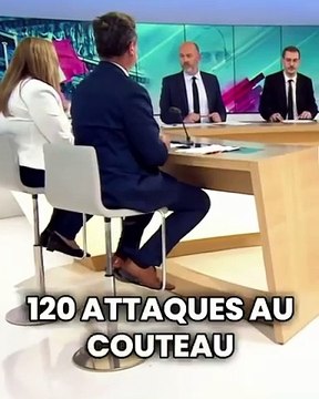Ils sont devenus fous! La candidate macroniste dans la Marne affirme que les gens qui se blessent tout seul avec leur couteau explique le nombre élevé d'attaque au couteau en France - VIDEO
