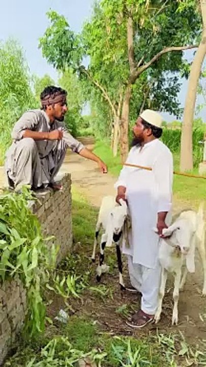 Burkhey main chupay bakri chor wait for end