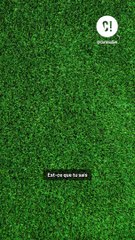 Pourquoi les balles de golf sont alvéolées ?