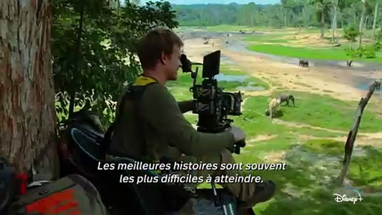 Animals Up Close with Bertie Gregory Saison 1 - Au plus près des animaux avec Bertie Gregory - Bande Annonce [VOST] (FR)