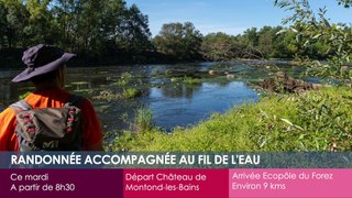 Agenda des Sorties du 24 au 26 juin 2024