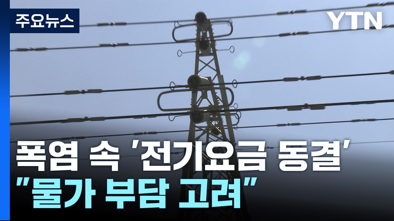 폭염 속 전기요금 또 '동결'..."물가 부담 고려" / YTN
