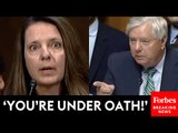'This Is What They Said About You': Lindsey Graham Grills Judicial Nominee About Alleged Past Ties