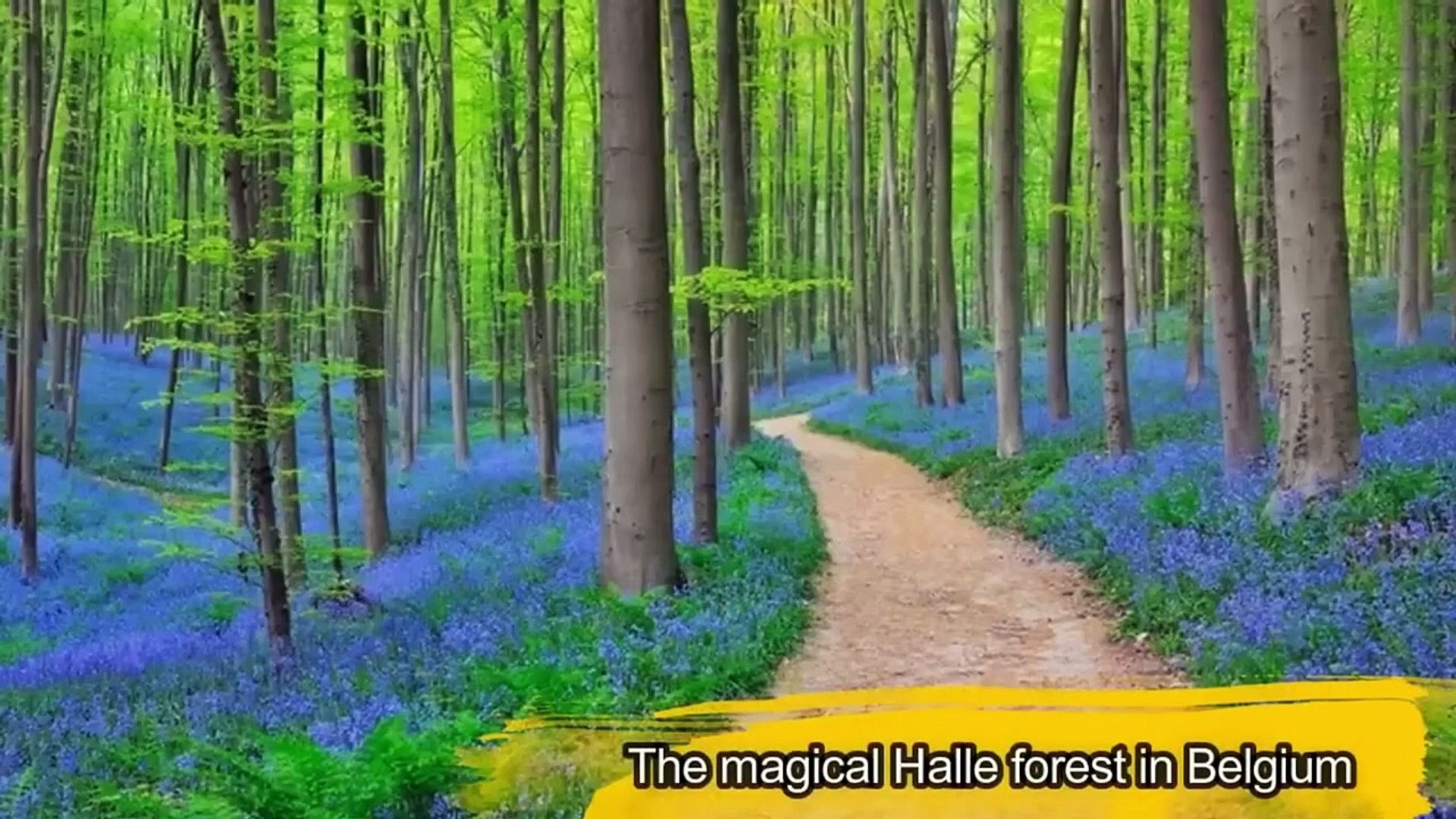Secret Travel Destinations You Never Knew Existed HD 2024