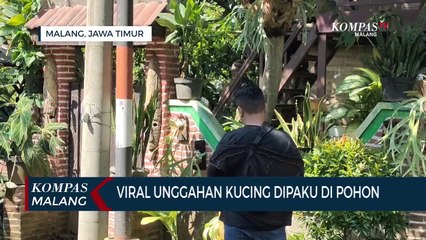 Indonesian Cat Association Desak Kasus Kucing Dipaku Diungkap!