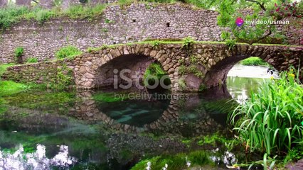 Luna & Leo's Magical Adventure