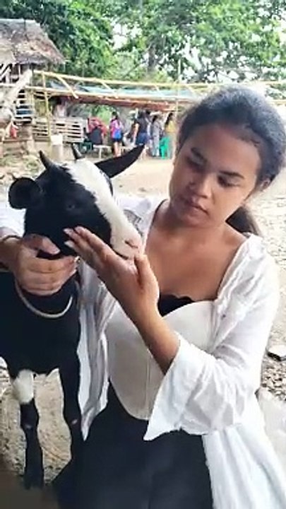 FRIENDLY GOAT