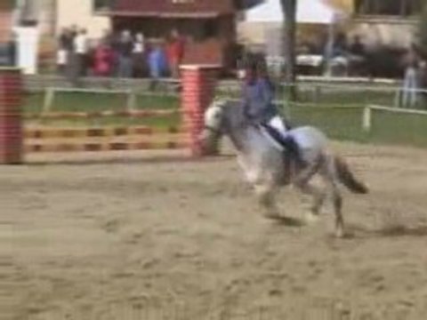 Championnats Régional CSO