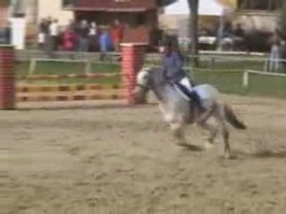 Championnats Régional CSO