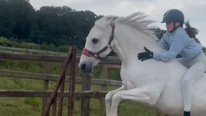 Pony takes a snack break during a little girl's first bareback jumping experience