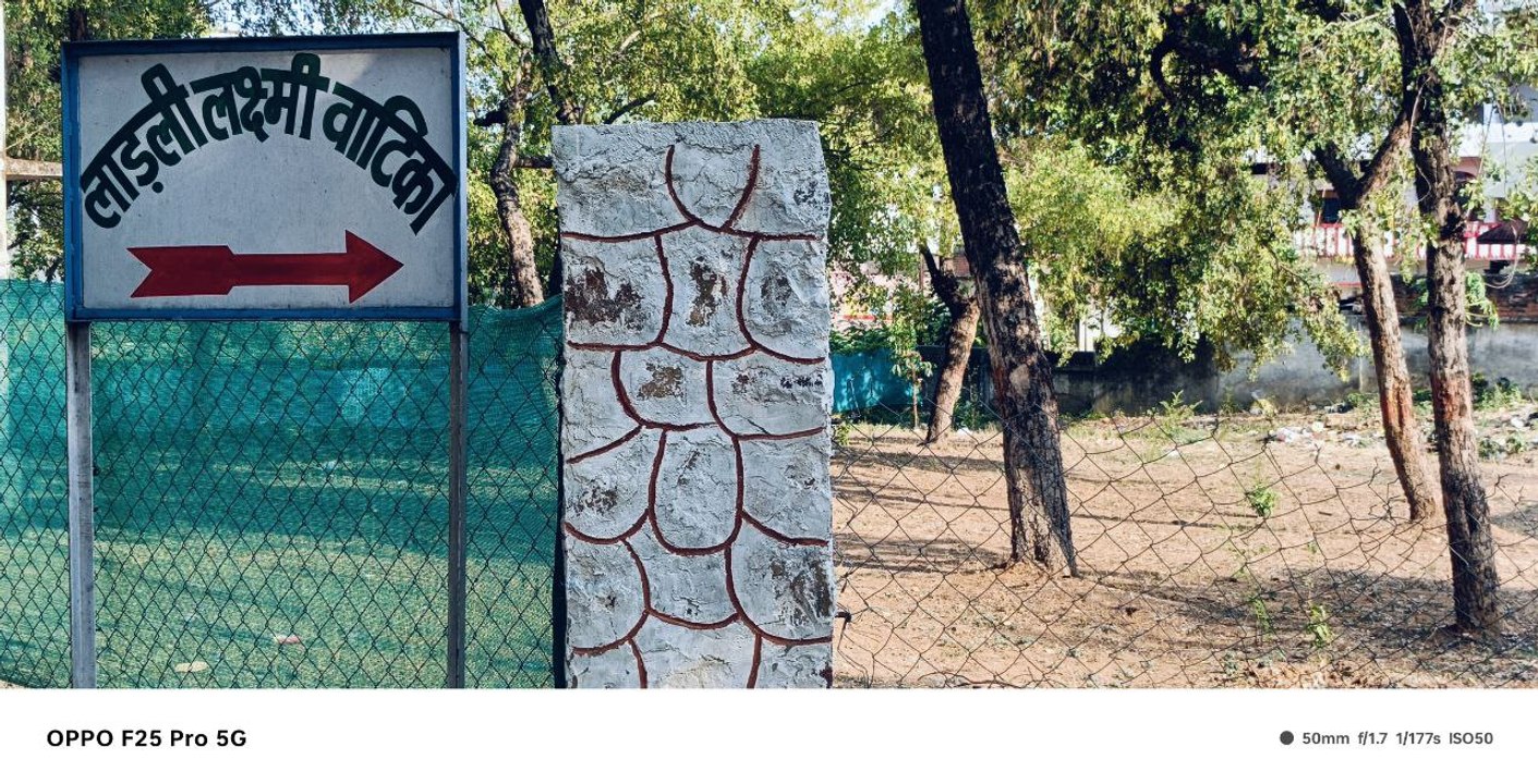 सूख गई लाडली लक्ष्मी वाटिका, सुरक्षित नहीं बचे...